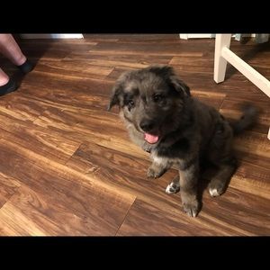 Meet your Posher, Jade